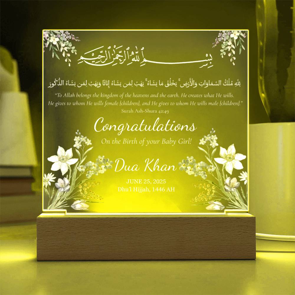 Birth of your Baby Girl -  Newborn Acrylic Plaque - Gift for New Mom by Qiyam